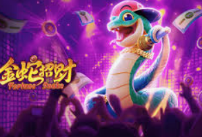 595cc开元官网版电脑免费版