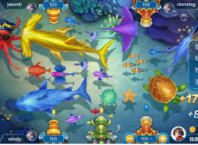 595cc开元官网版最新版